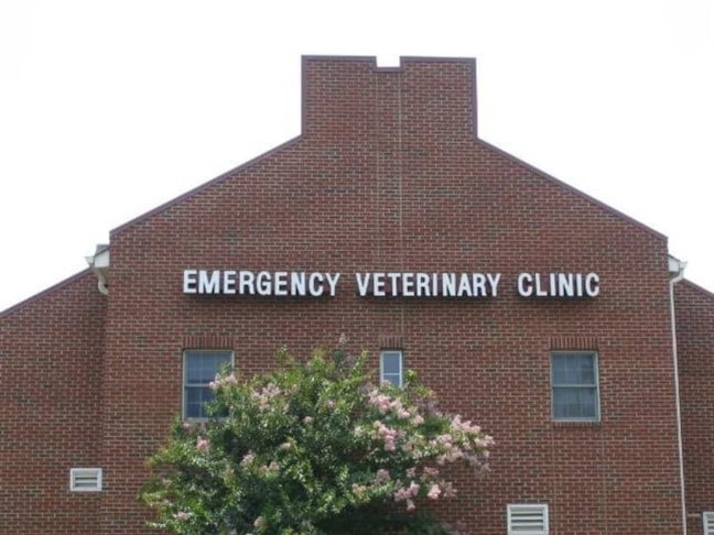 Wall Murals & Graphics