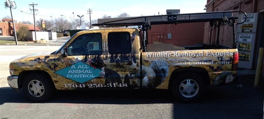 Vehicle Wraps in [city]