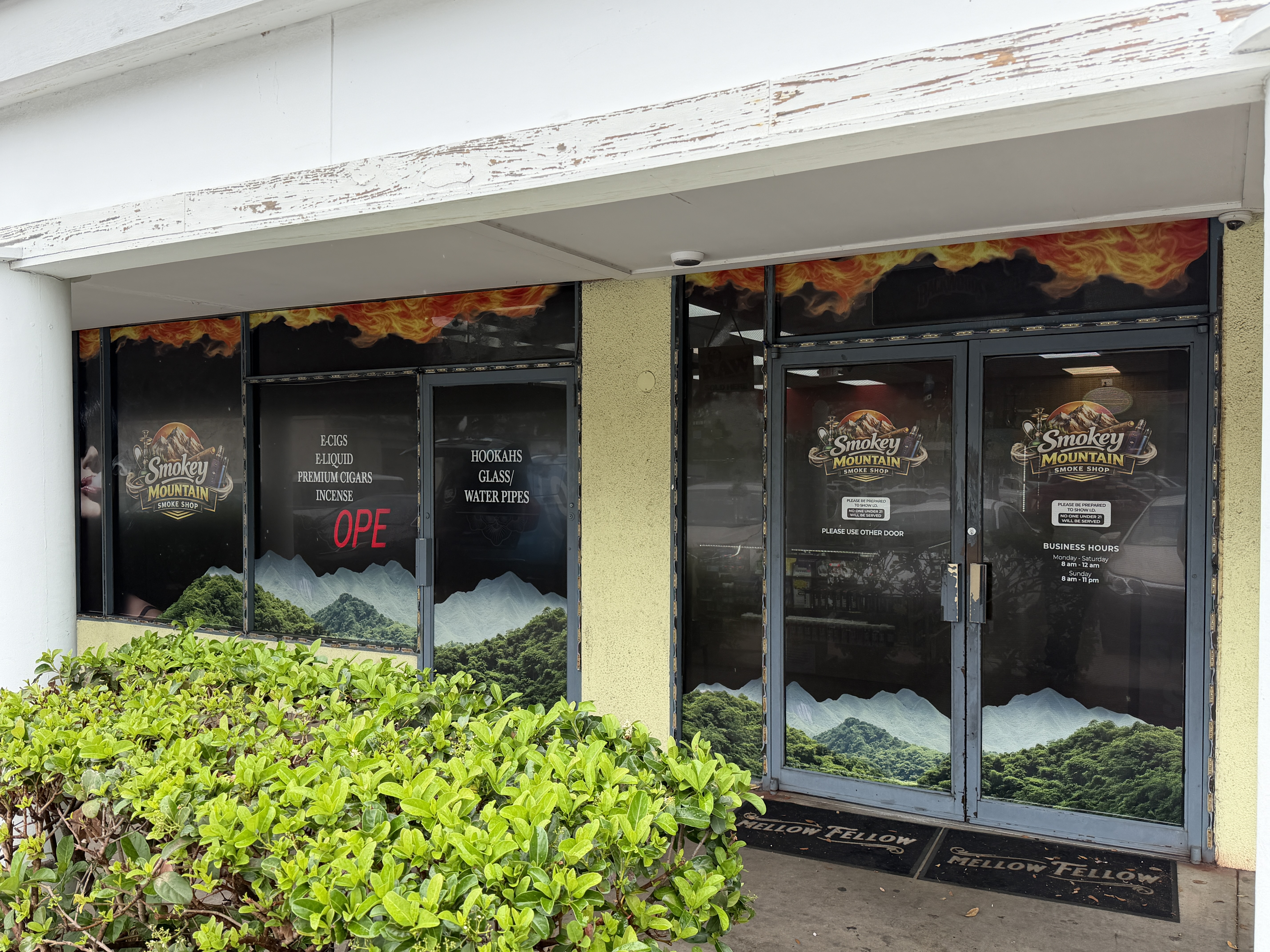 Window Graphics | Retail | Vinyl