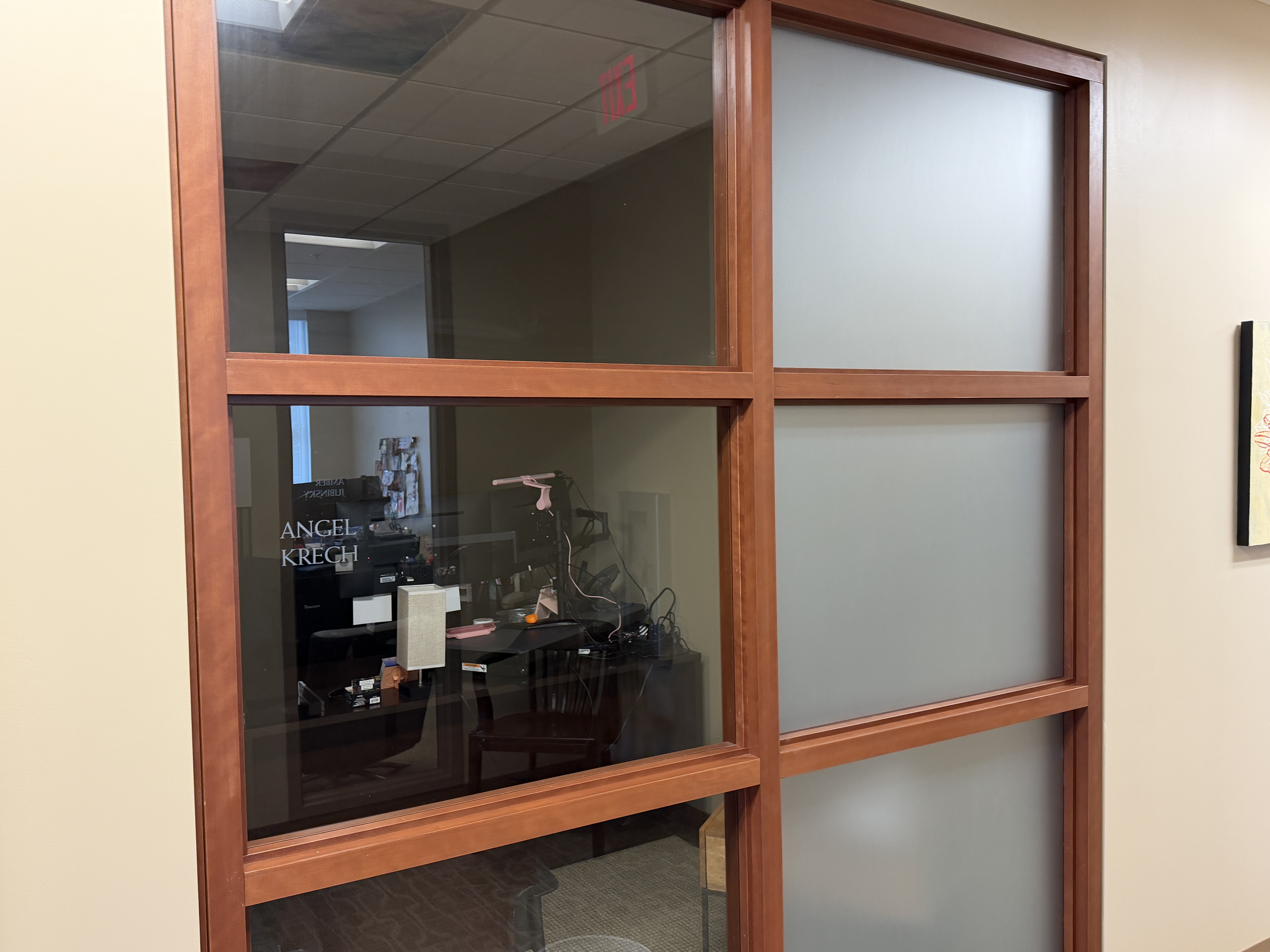 Window Graphics | Professional Services | Vinyl