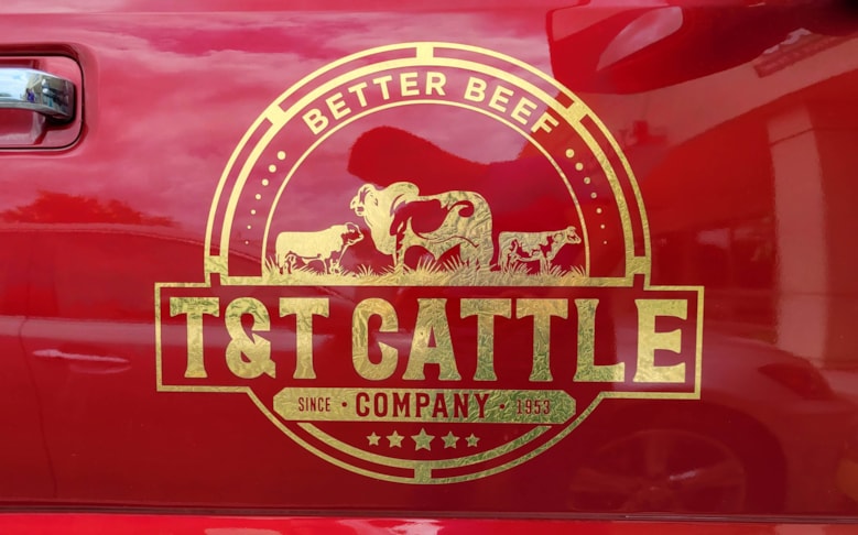 Vehicle Graphics & Lettering