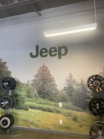 Wall Murals & Graphics