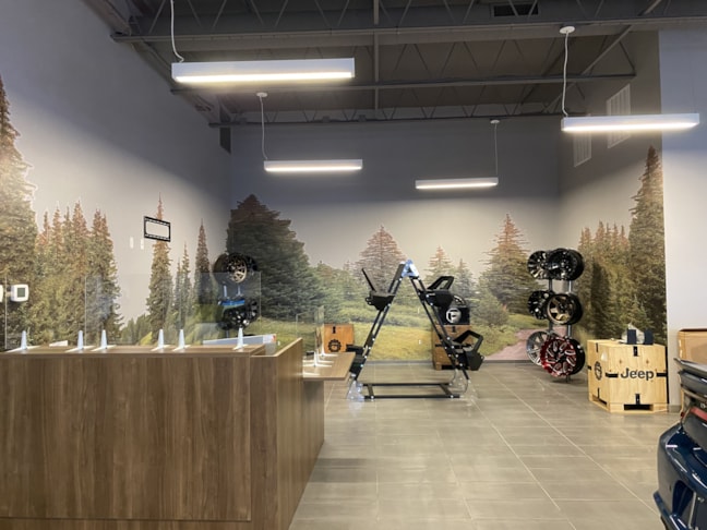 Wall Murals & Graphics