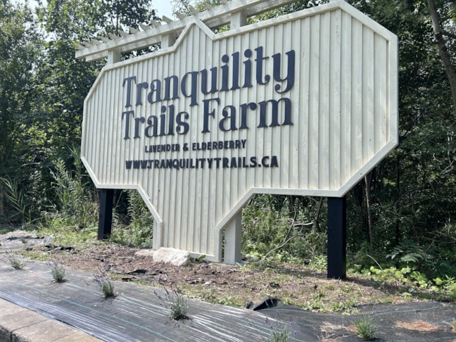 3D Signs & Dimensional Letters