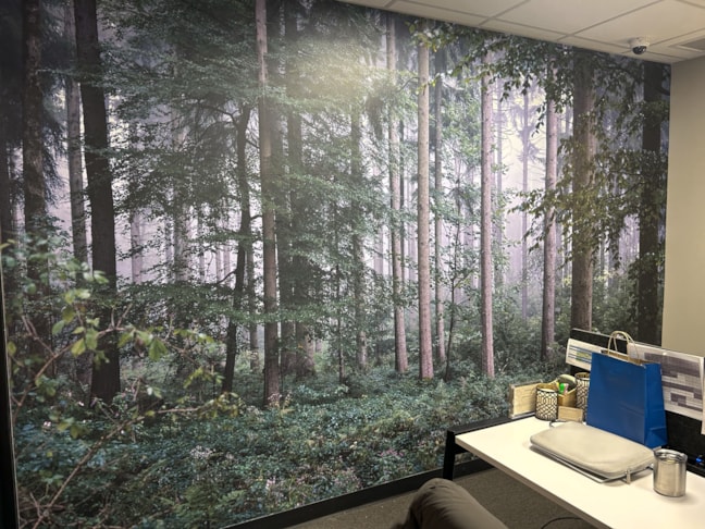 Thermea Office Wall Graphics