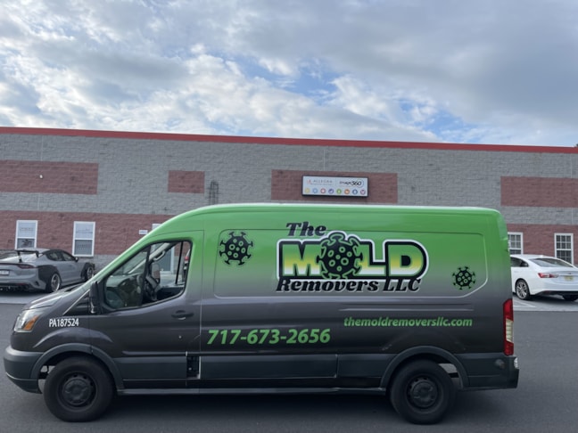 Full Vehicle Wraps