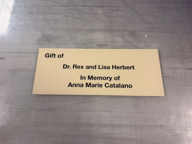 Plaques