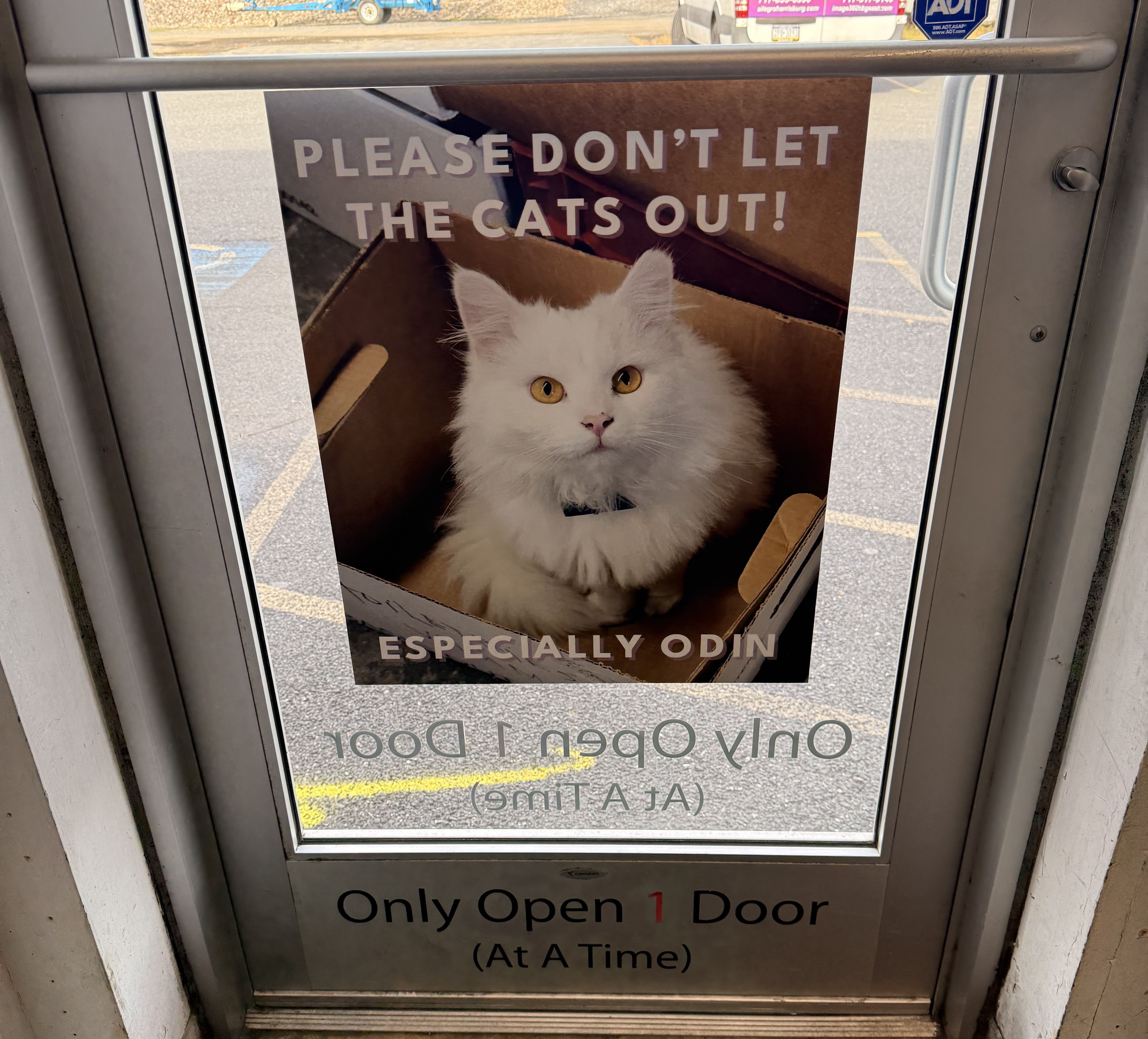 Window Graphics | Retail | Harrisburg, Pennsylvania | Vinyl