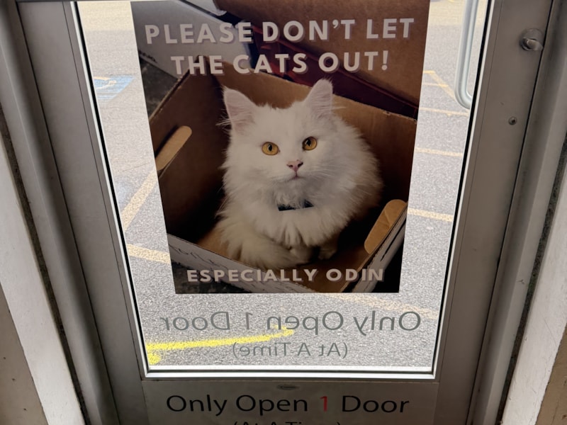 Window Graphics | Retail | Harrisburg, Pennsylvania | Vinyl