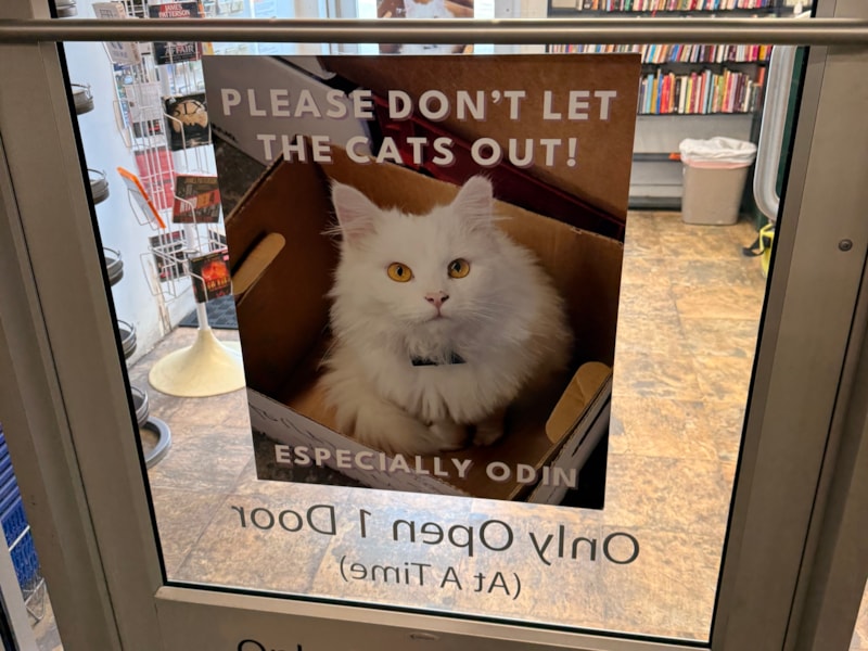 Window Graphics | Retail | Harrisburg, Pennsylvania | Vinyl