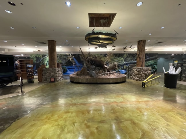 Wall Murals & Graphics