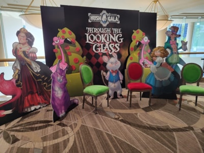 Our Trip to The Hush Gala:  November E-Newsletter