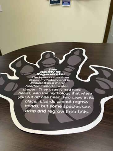 Floor Graphics | Live Entertainment Venues