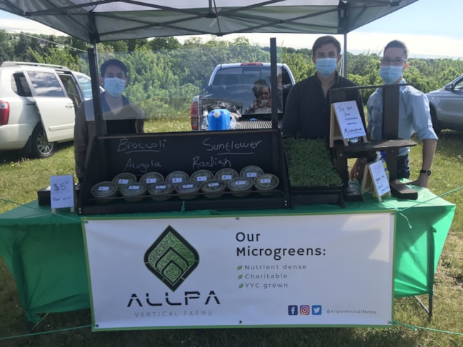 Banners are an easy, effective and efficient way to promote your products!