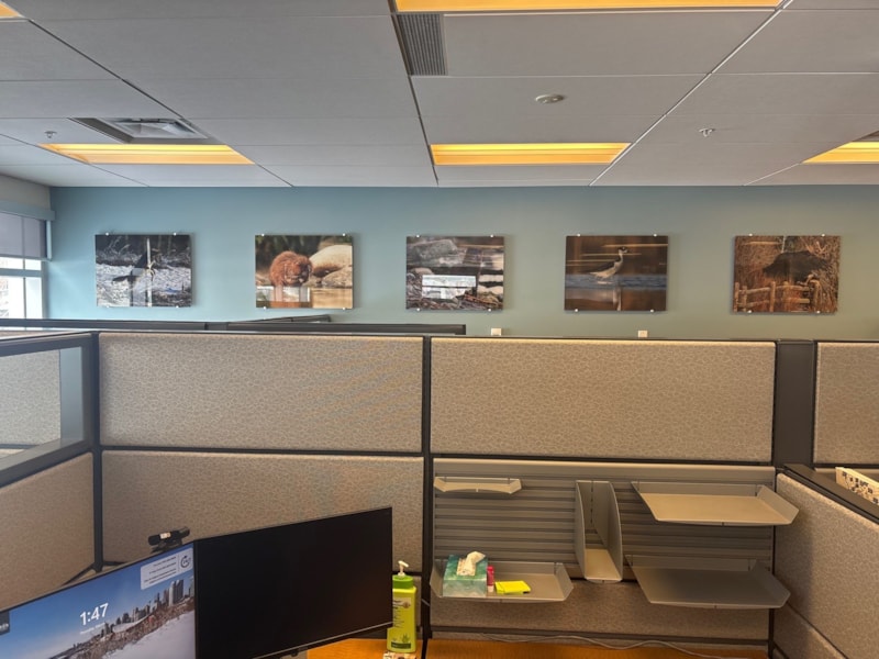 3D Signs & Dimensional Letters | Government & Public Office Signs | Calgary, Alberta | Acrylic