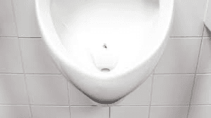 The Fly, The Urinal and The Nobel Prize:  A Sign Story
