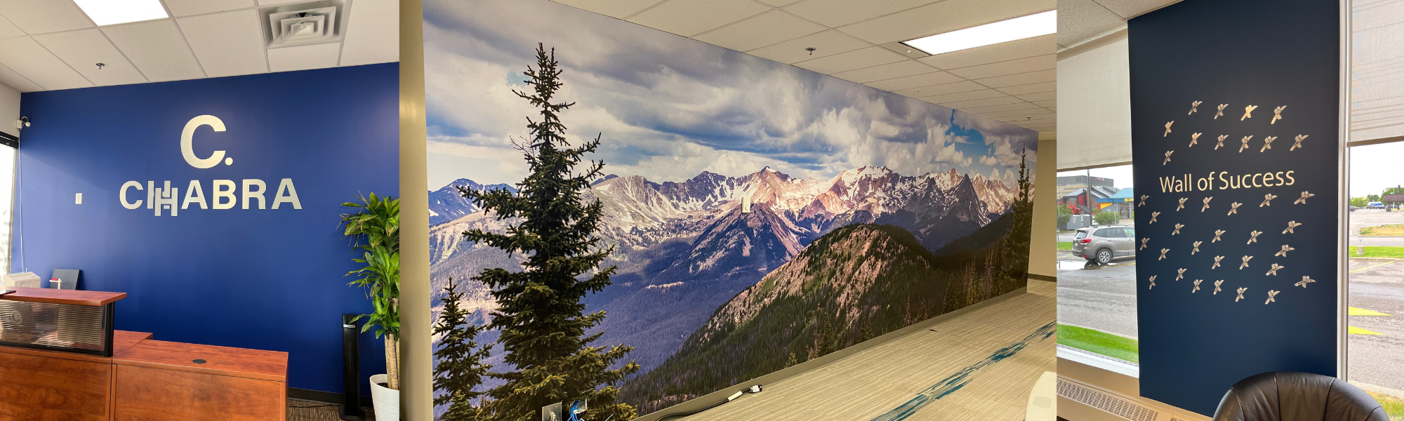 Forget The Window, Stare At Your Wall!