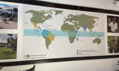 A Sweet Story: January E-newsletter