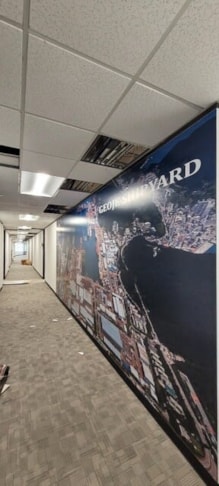 Wall Murals & Graphics