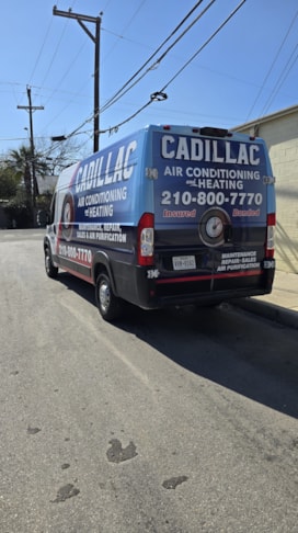 Vehicle Graphics & Lettering | Professional Services