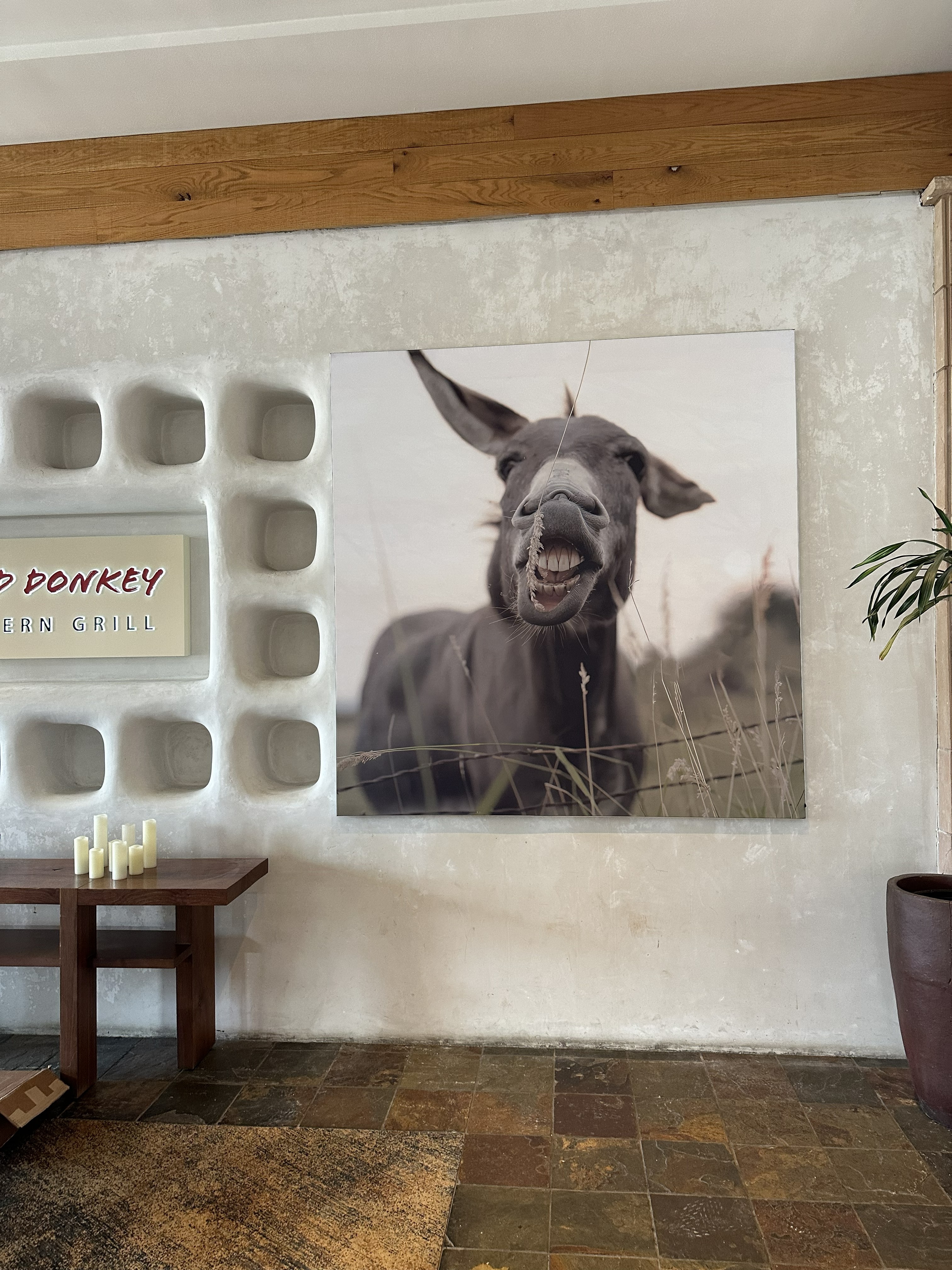 Fabric & Vinyl Indoor Banners | Restaurants & Foodservice | Westminster, CO | Fabric