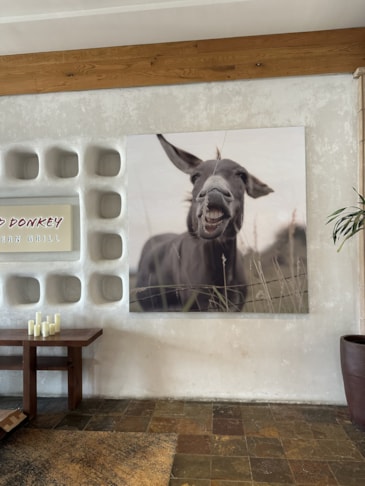 Fabric & Vinyl Indoor Banners