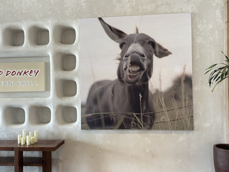 Fabric & Vinyl Indoor Banners | Restaurants & Foodservice | Westminster, CO | Fabric