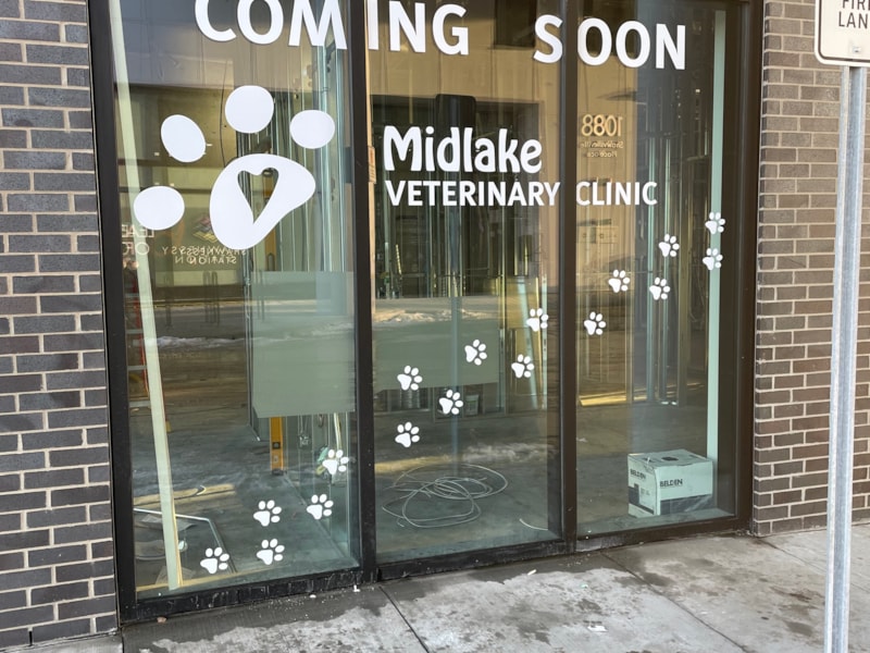 Window Graphics