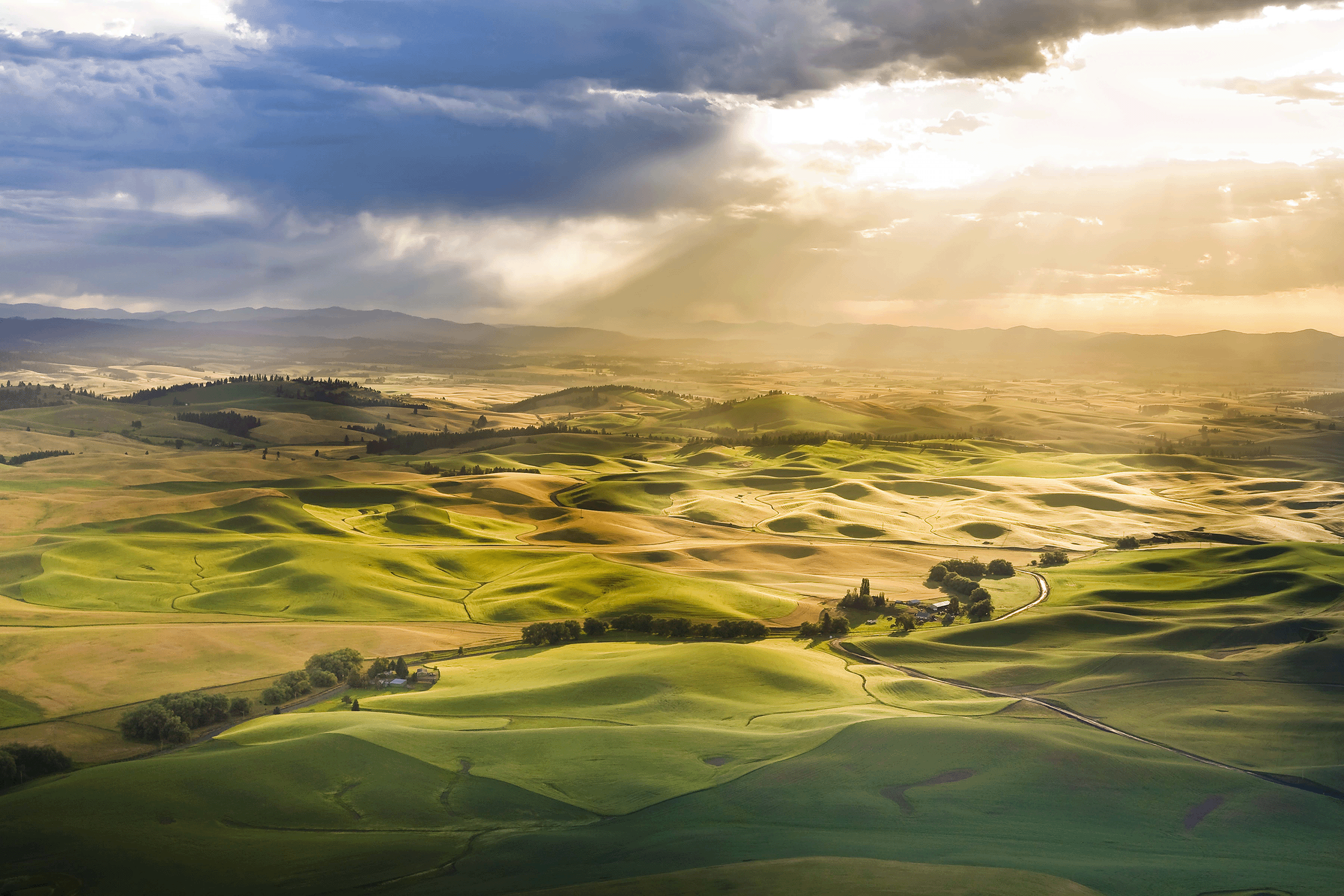 Fine Art Reproductions | Contract & Freelance Graphic Designers | Coeur dAlene | Fabric