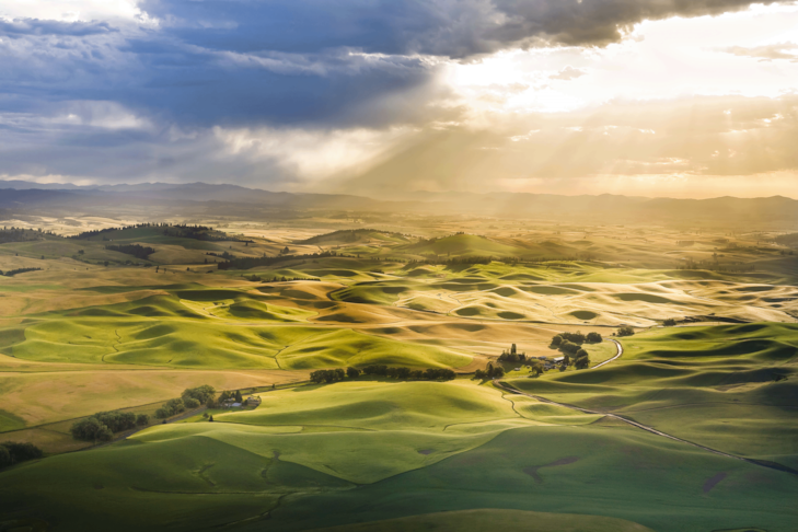 Fine Art Reproductions