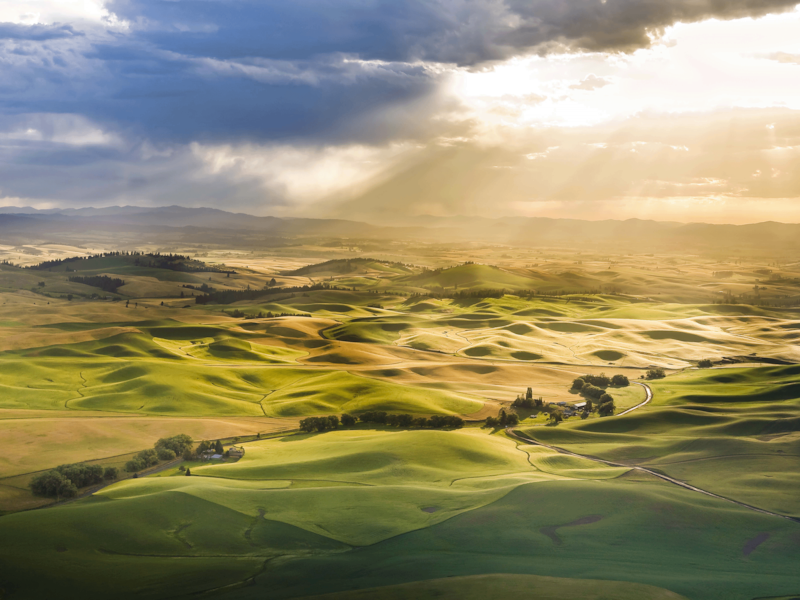 Fine Art Reproductions | Contract & Freelance Graphic Designers | Coeur dAlene | Fabric