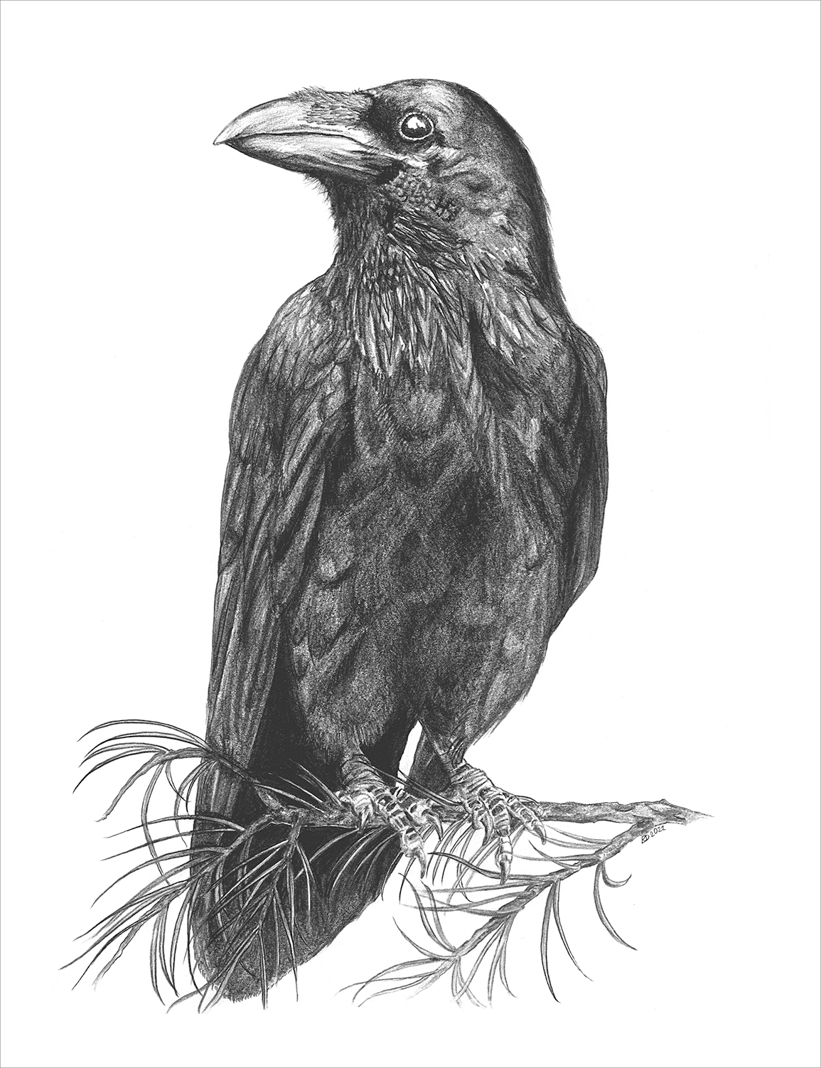 Fine Art Reproductions | Contract & Freelance Graphic Designers | Coeur dAlene | Fabric