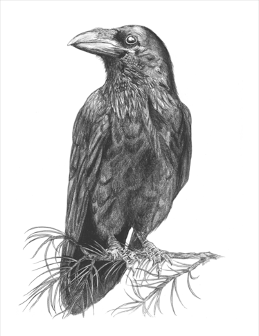 Fine Art Reproductions