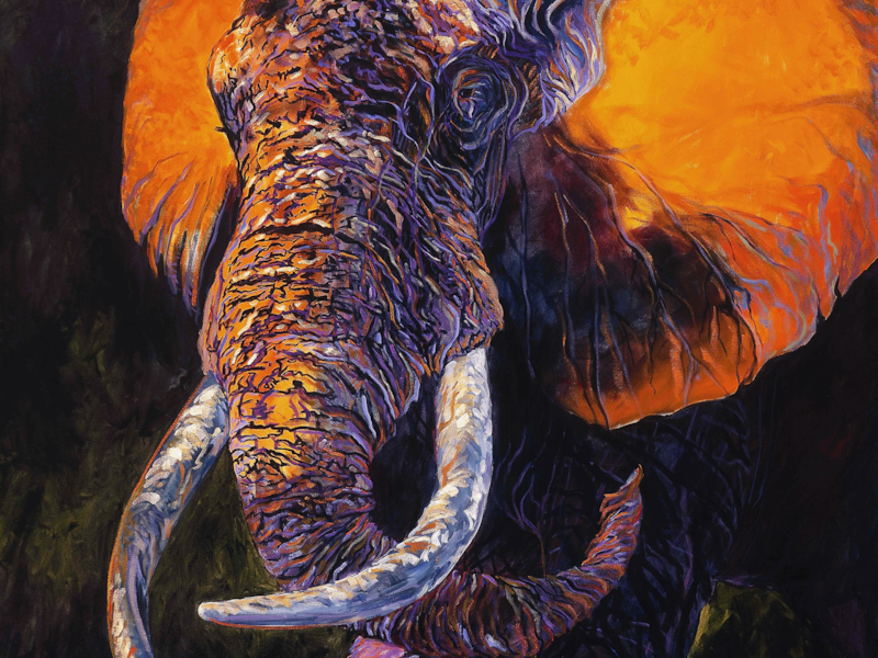 Fine Art Reproductions | Contract & Freelance Graphic Designers | Coeur dAlene | Fabric