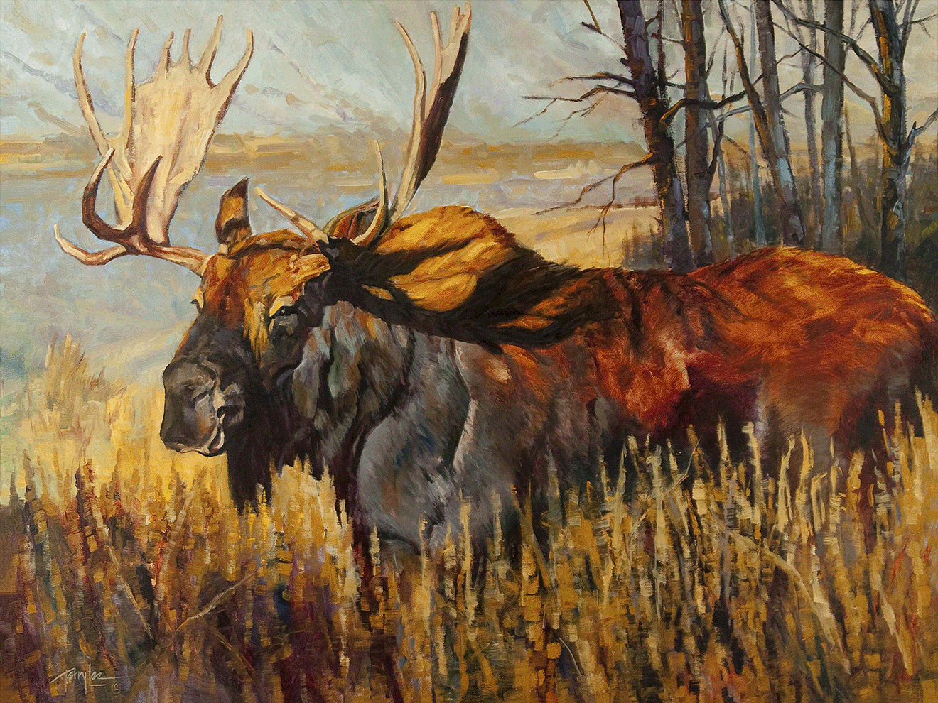 Fine Art Reproductions | Contract & Freelance Graphic Designers | Coeur dAlene | Fabric