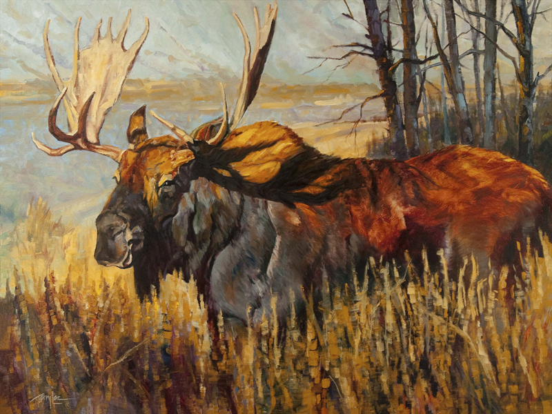 Fine Art Reproductions | Contract & Freelance Graphic Designers | Coeur dAlene | Fabric