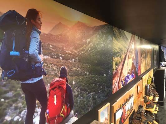 Full Color Environmental Wall Graphics for Scheels in Overland Park, Kansas