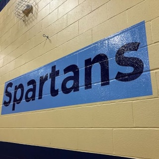 Gymnasium Wall Vinyl for St. Paul