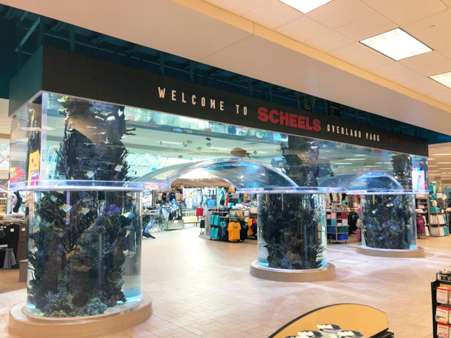 Interior Dimensional PVC Lettering for Aquarium for Scheels in Overland Park, Kansas