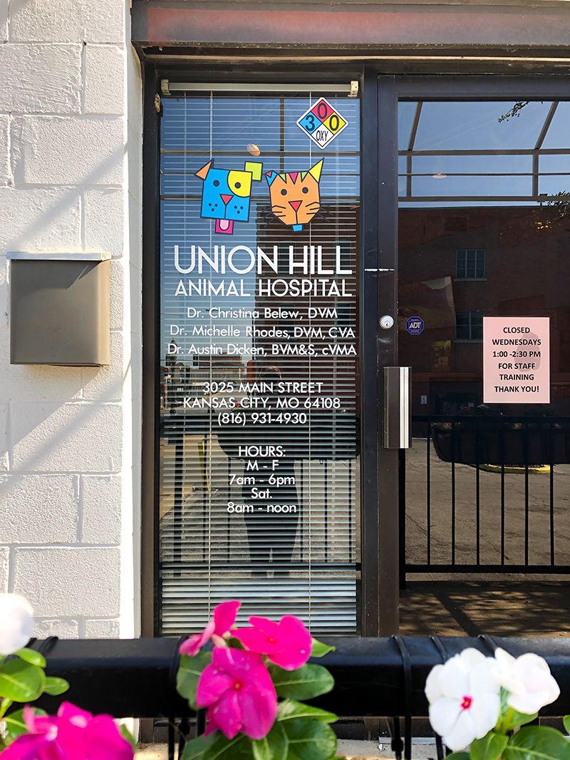 Interior Cut Vinyl Window Graphics and Lettering for Union Hill Animal Hospital in Kansas City, Missouri