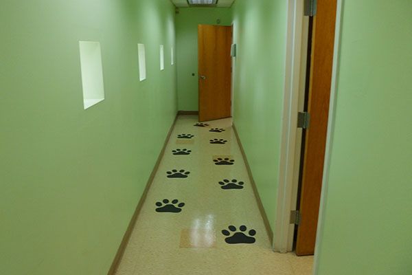  - Image360-Lauderhill-FloorGraphics-Healthcare