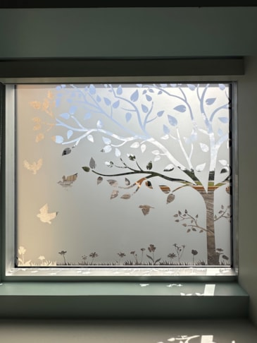 Window Graphics