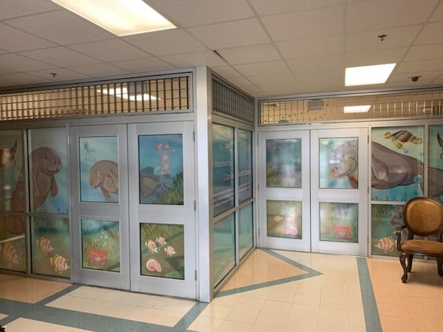 Window Graphics |  perforated Vinyl