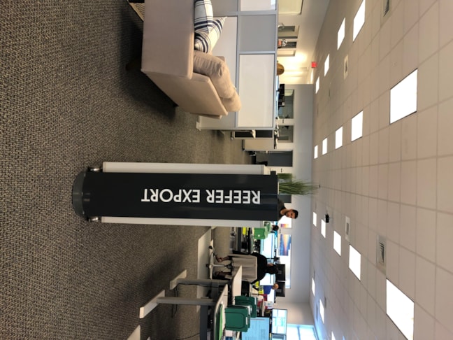 Decals, Wraps & Lettering