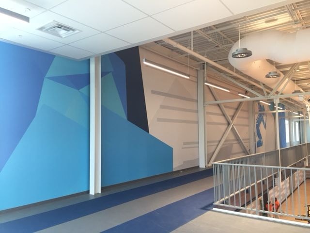 Wall Murals and Graphics