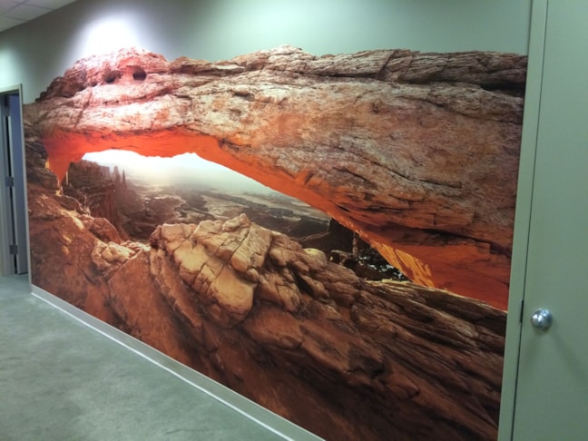 Wall Murals and Graphics