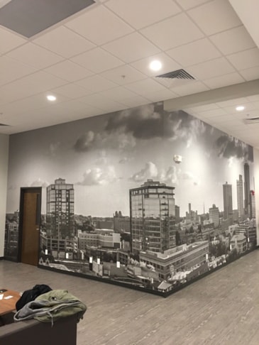 Wall Murals & Graphics