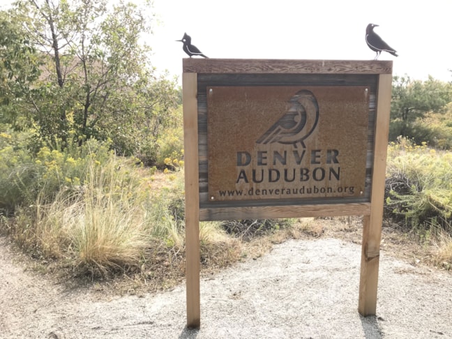 Metal Signs and Displays Rusted Steel