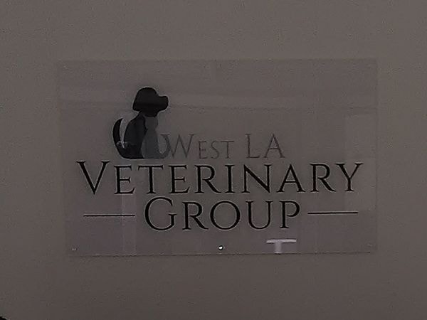 Acrylic Displays in [city]