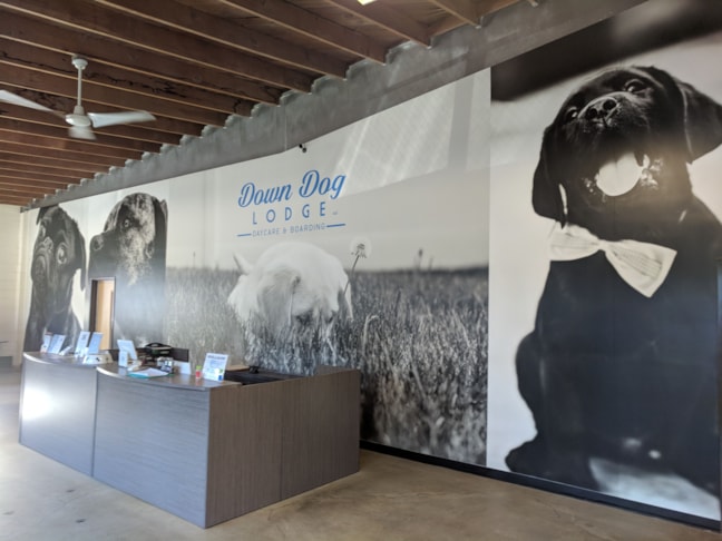 Wall Graphics, Murals, Wallpaper